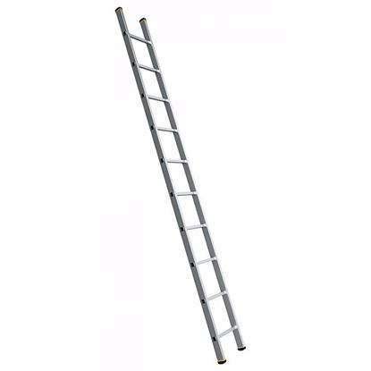 Obrázok pre výrobcu Rebrík FORTE jednodielny 150 kg (2,4 - 7 m)
